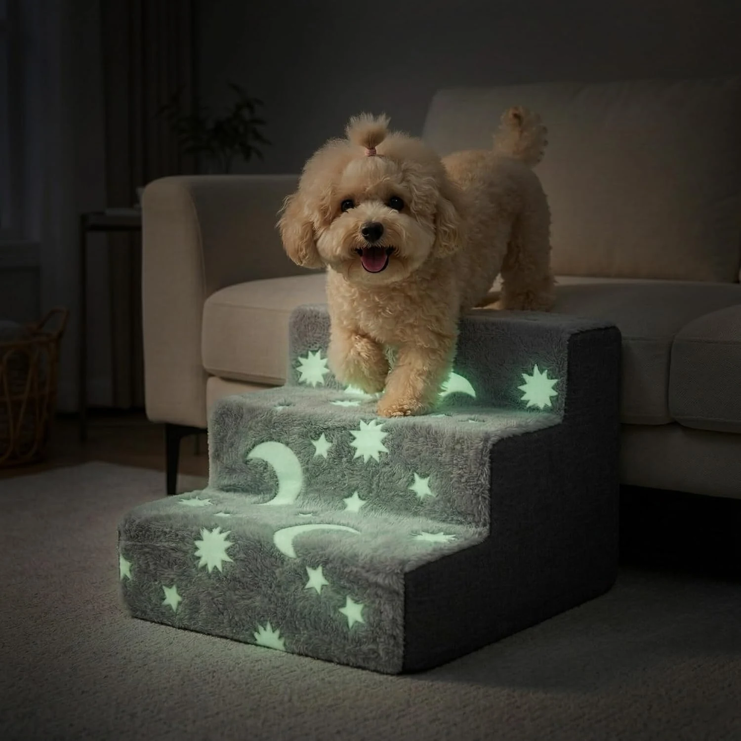 Glow-in-the-Dark Pet Steps