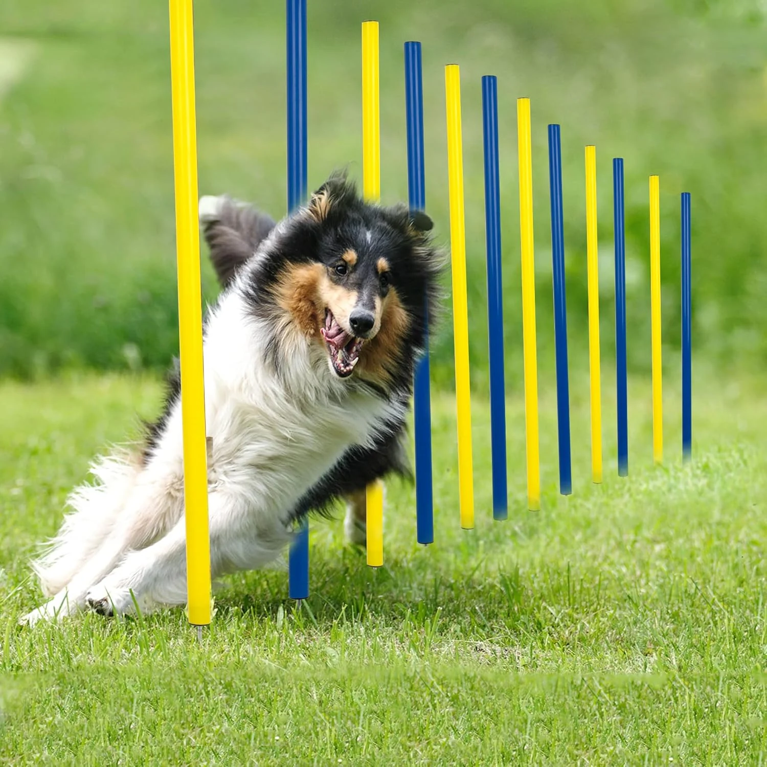 Outdoor Dog Agility Kit product image
